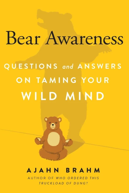 Bear Awareness: Questions And Answers On Taming Your Wild Mind