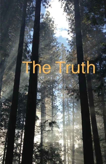 The Truth - 9781087950310