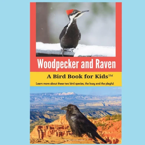 Woodpecker And Raven: A Bird Book For Kids