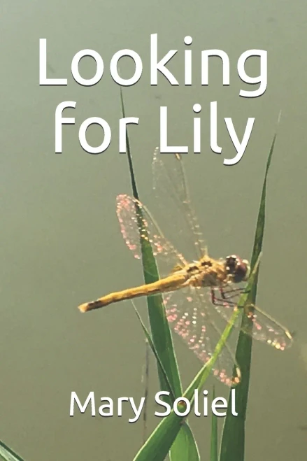 Looking for Lily
