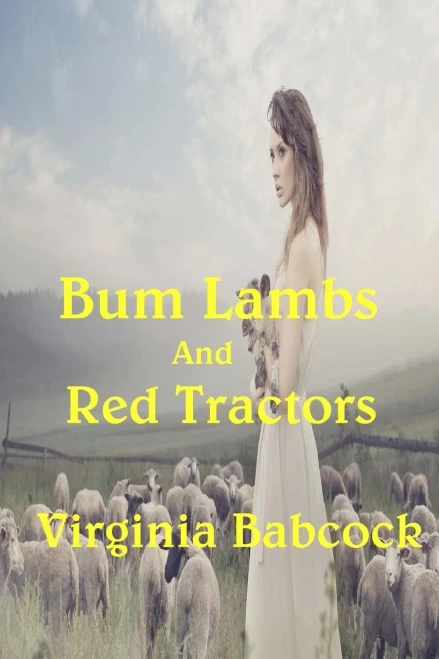 Bum Lambs And Red Tractors