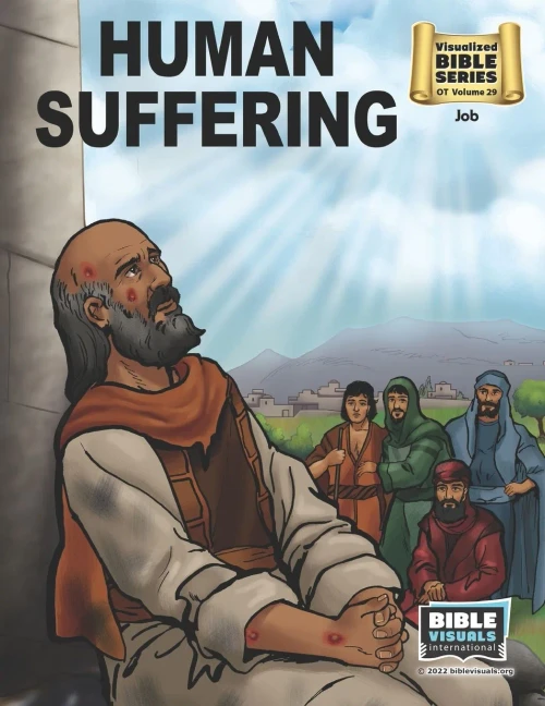 Human Suffering: Old Testament Volume 29: Job (Visualized Bible Flash Card Format)