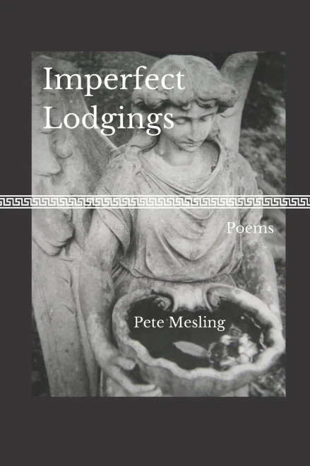 Imperfect Lodgings: Poems