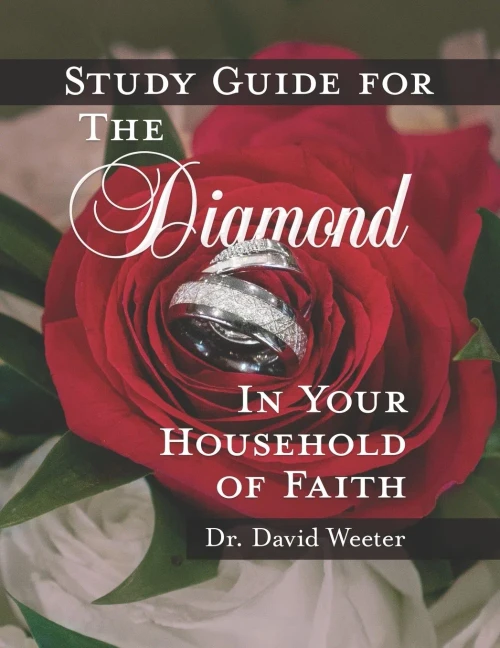 Study Guide for the Diamond in Your Household of Faith