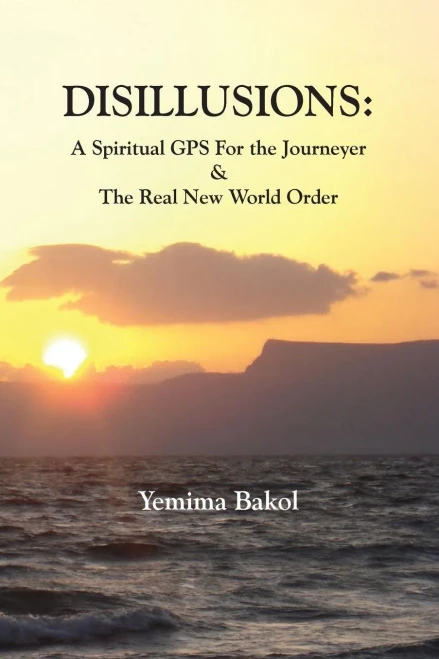 Disillusions: A Spiritual Gps For The Journeyer & The Real New World Order