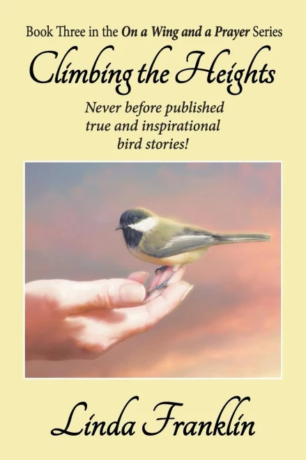Climbing The Heights: On A Wing And A Prayer Series - Book 3