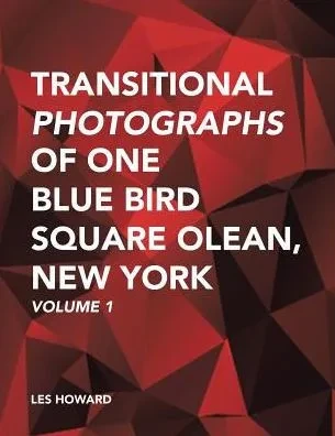 Transitional Photographs Of One Blue Bird Square Olean, New York: Volume 1