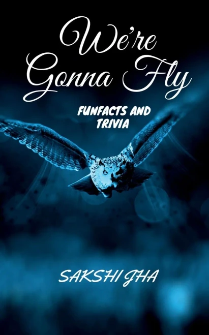 We'Re Gonna Fly