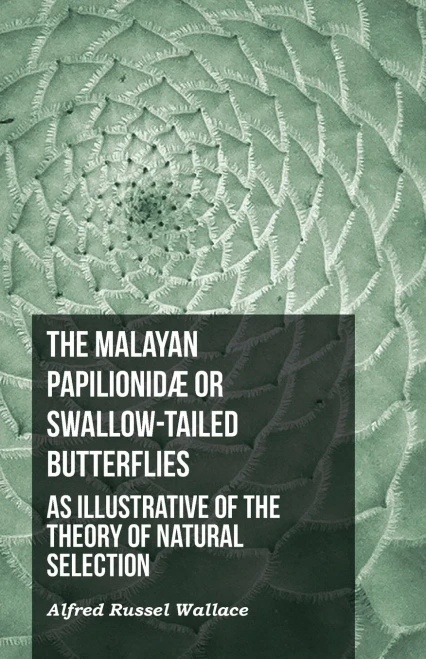 The Malayan Papilionidæ Or Swallow-Tailed Butterflies, As Illustrative Of The Theory Of Natural Selection