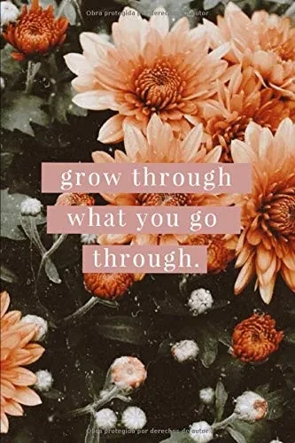 GROW THROUGH WHAT YOU GO THROUGH (Spanish Edition)