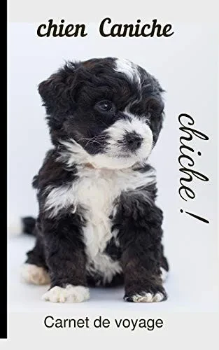Chien Caniche Carnet de voyage: chiche! (French Edition)