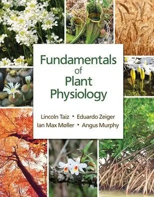 Fundamentals Of Plant Physiology