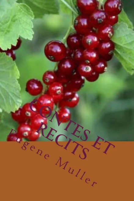 Contes Et Recits (French Edition)