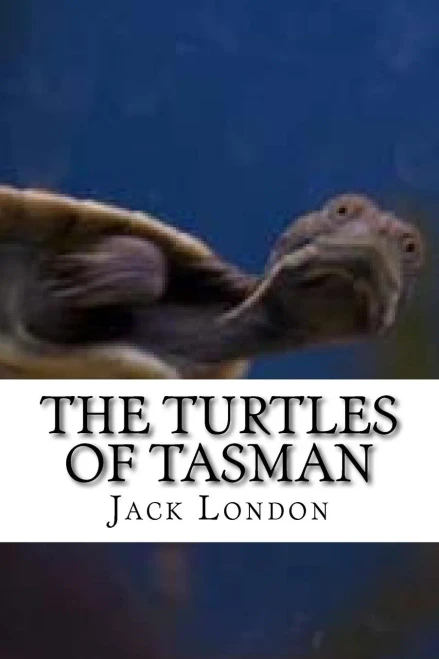 The Turtles Of Tasman