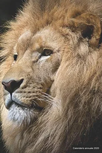 Calendario annuale 2020: ¦ Manuale dell'organizzatore pratico per il 2020 ¦ Anteprima di 12 mesi ¦ 52 pianificatore settimanale con compiti e ... 6x9 ¦ motif: Löwenkopf (Italian Edition)