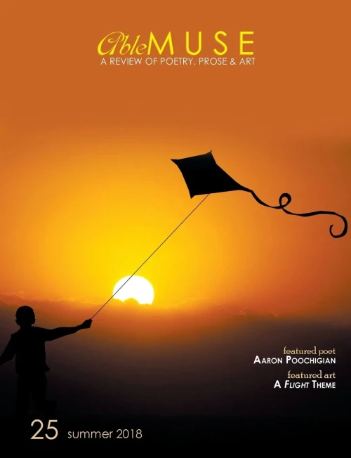 Able Muse, Summer 2018 (No. 25 - print edition): a review of poetry, prose & art (Able Muse, Print Edition)