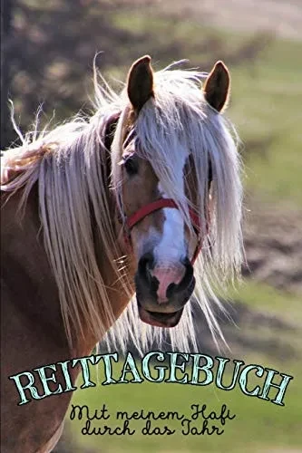 Reittagebuch: Das Reittagebuch zum Eintragen für über 200 Reiteinheiten | Mit meinem Hafi durch das Jahr | Jahreskalender | Geschenkidee Haflinger (German Edition)