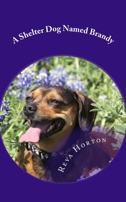 A Shelter Dog Named Brandy
