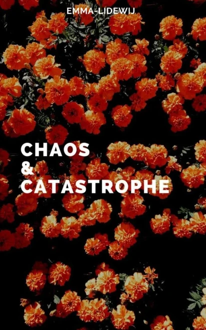 Chaos and Catastrophe