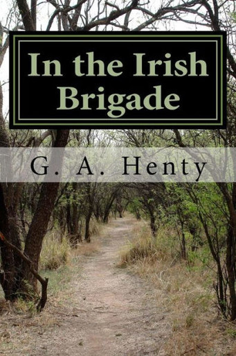 In the Irish Brigade : A Tale of War in Flanders and Spain