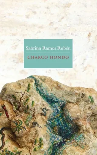 Charco hondo (Spanish Edition)