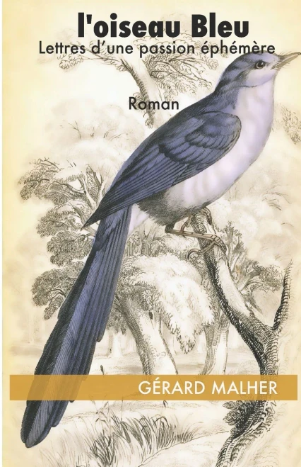 L'oiseau Bleu: Lettres d'une passion éphémere (French Edition)