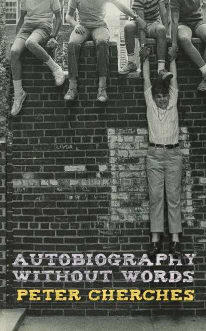 Autobiography Without Words