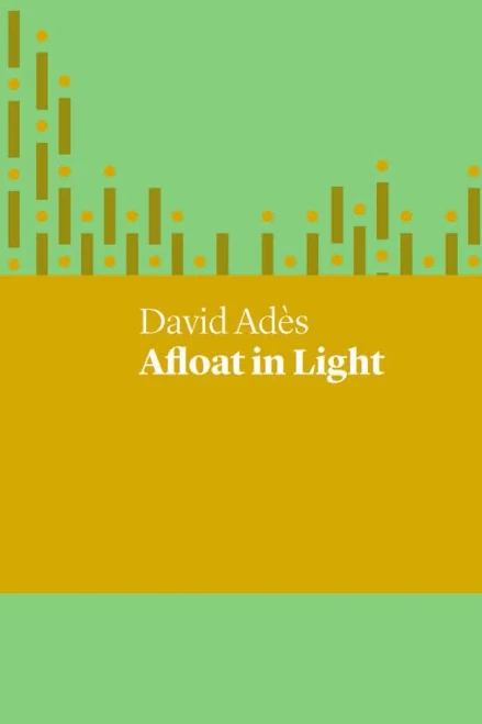 Afloat in Light (UWAP Poetry)