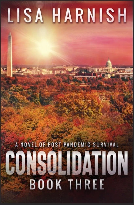 Consolidation: Book Three