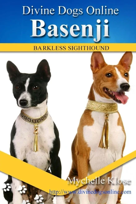 Basenji (Divine Dogs Online)