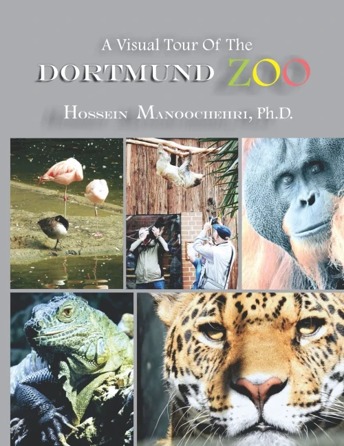 Dortmund Zoo: A Visual Tour Of The-