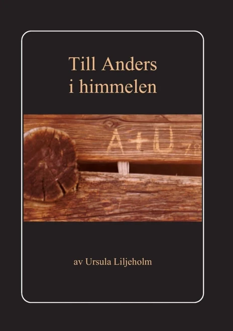 Till Anders i himmelen: Liljeholm, Ursula (Swedish Edition)