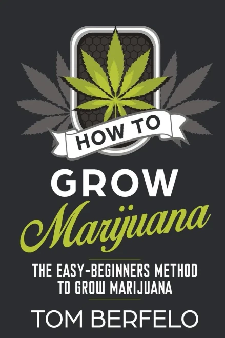 How to grow marijuana: The easy-beginners method to grow marijuana