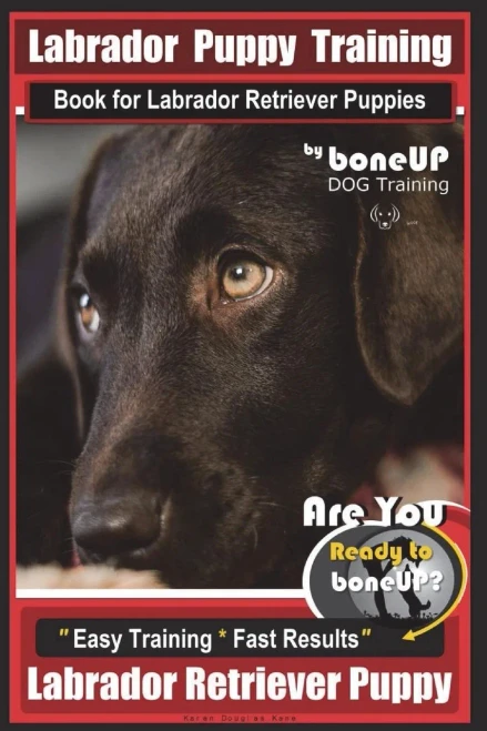Labrador Puppy Training Book for Labrador Retriever Puppies by BoneUP DOG Training: Are You Ready to Bone Up? Easy Training * Fast Results Labrador Retriever Puppy