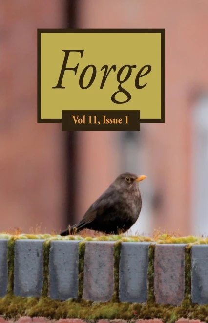 Forge 11.1