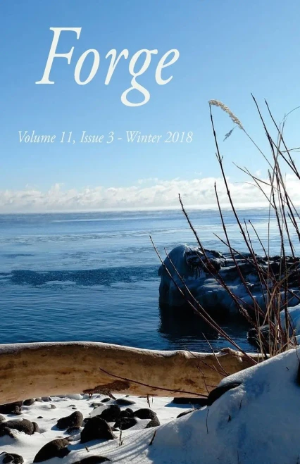 Forge 11.3