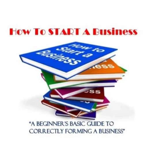 How To Start A Business: A Beginners Guide to Correctly Forming A Business, Incorporation, LLC and 501 (C) (3)