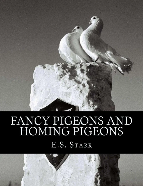 Fancy Pigeons and Homing Pigeons
