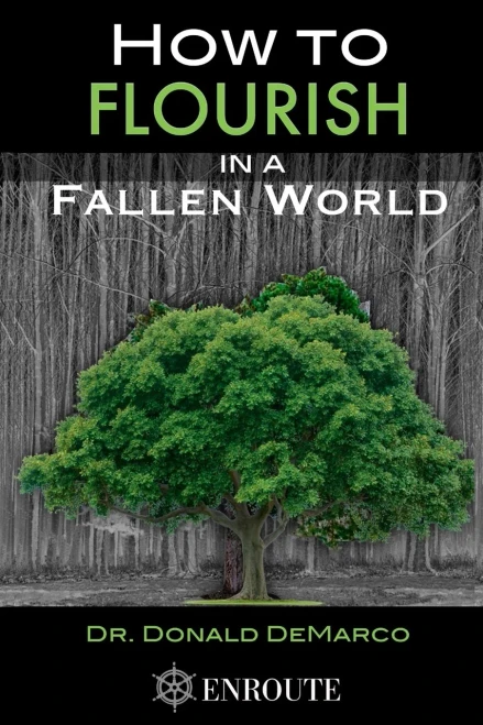 How to Flourish in a Fallen World