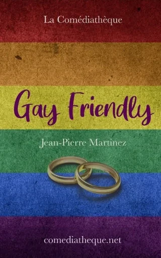 Gay friendly (French Edition)