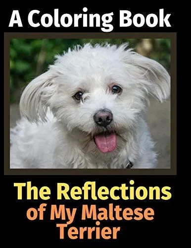 The Reflections of My Maltese Terrier: A Coloring Book