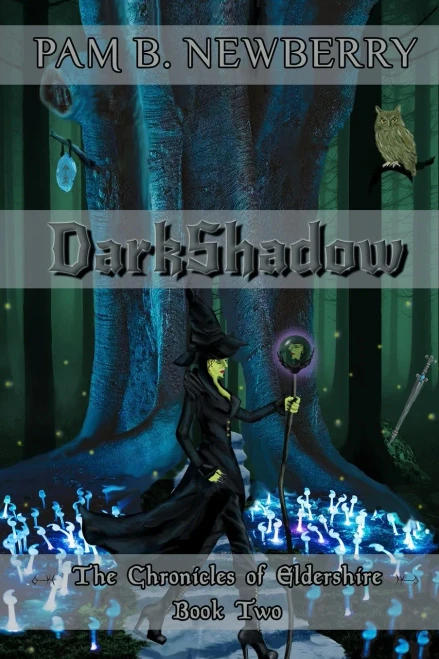 DarkShadow: The Chronicles of Eldershire - Book Two