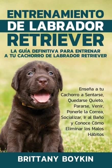 Entrenamiento de Labrador Retriever: La Guía Definitiva para Entrenar a tu Cachorro de Labrador Retriever: Enseña a tu Cachorro a Sentarse, Quedarse ... Eliminar los Malos Hábitos (Spanish Edition)
