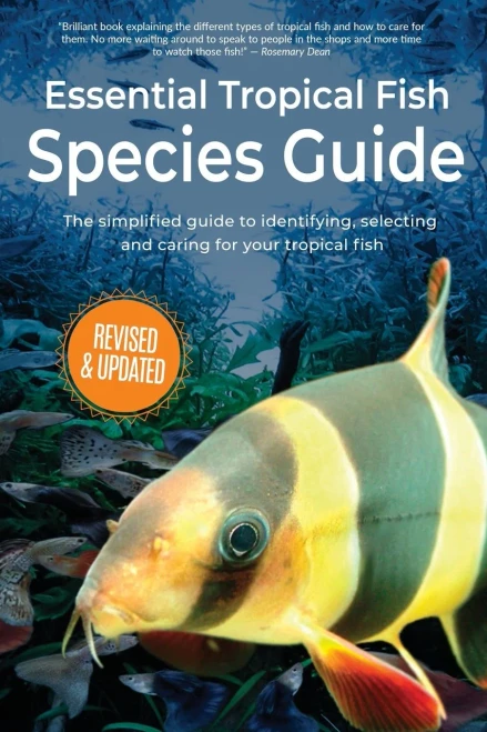 Essential Tropical Fish: Species Guide (1)