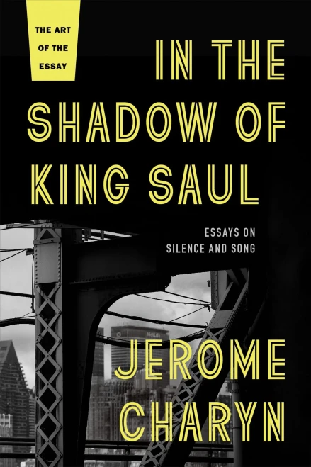 In the Shadow of King Saul: Essays on Silence and Song (The Art of the Essay)