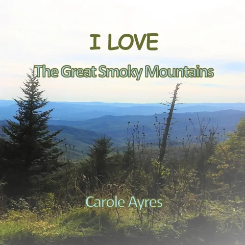 I LOVE the Great Smoky Mountains