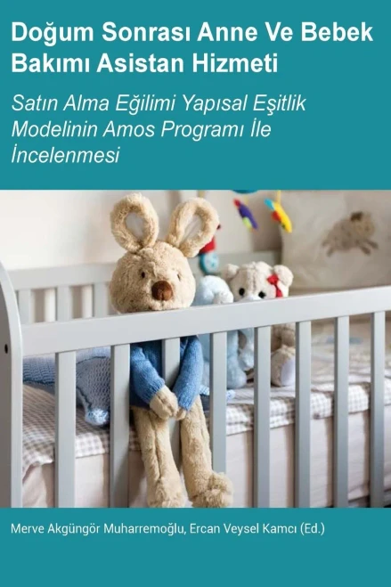 Dogum Sonrasi Anne Ve Bebek Bakimi Asistan Hizmeti (Turkish Edition)