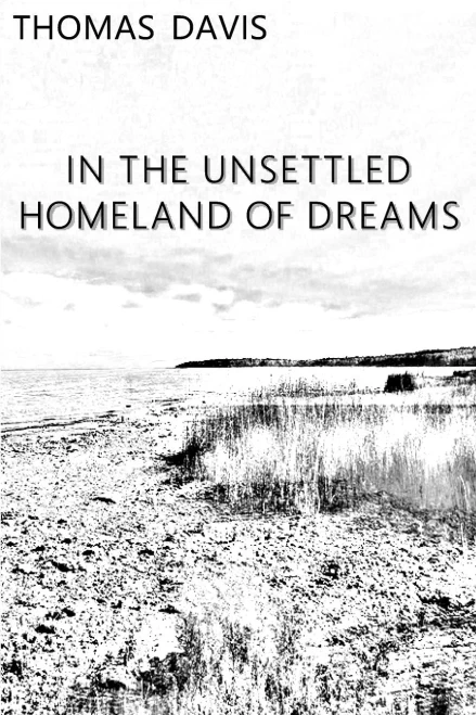 In the Unsettled Homeland of Dreams