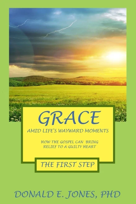 Grace Amid Life's Wayward Moments How The Gospel Can Bring Relief To A Guilty Heart The First Step