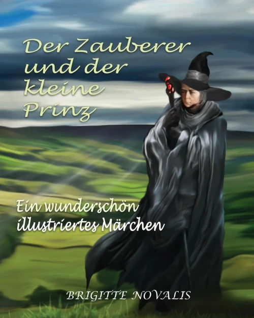 Der Zauberer und der kleine Prinz: Ein wunderschön illustriertes Märchen (German Edition)